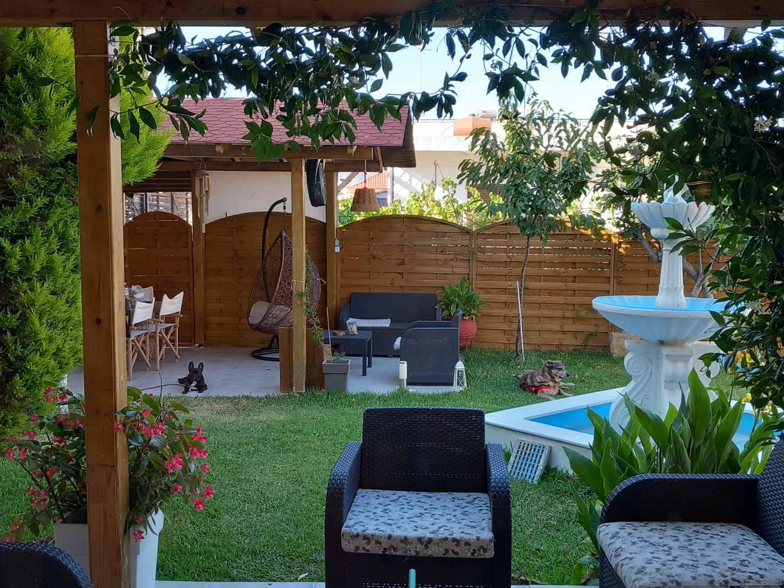 εικόνα_Viber_2025-07-15_20-54-06-841